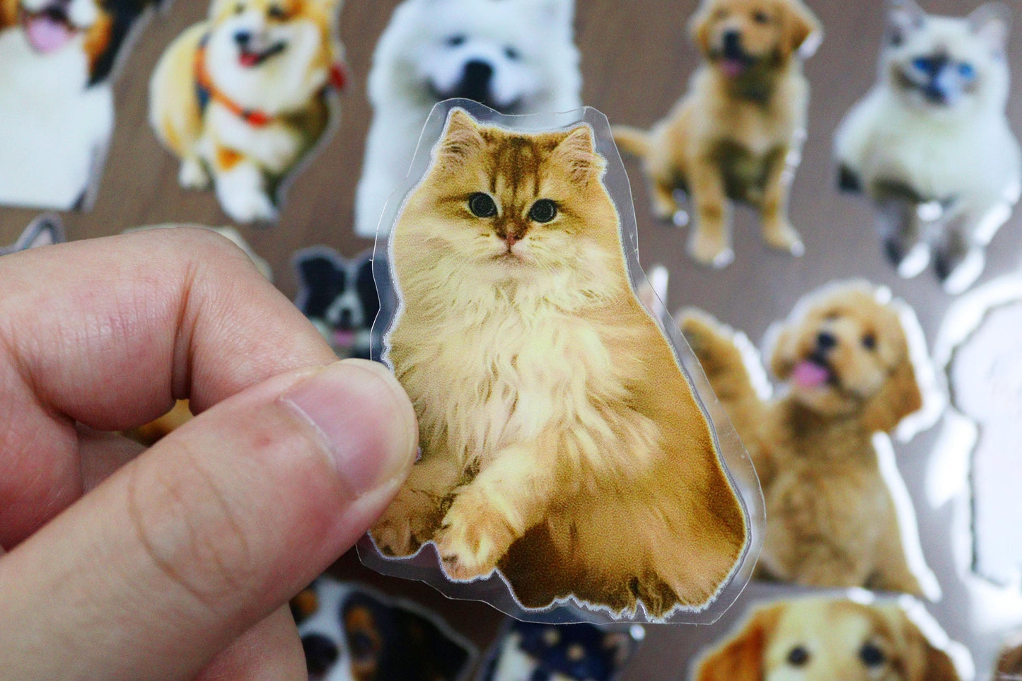 Cat Whisker Keepsake Holder with Photo