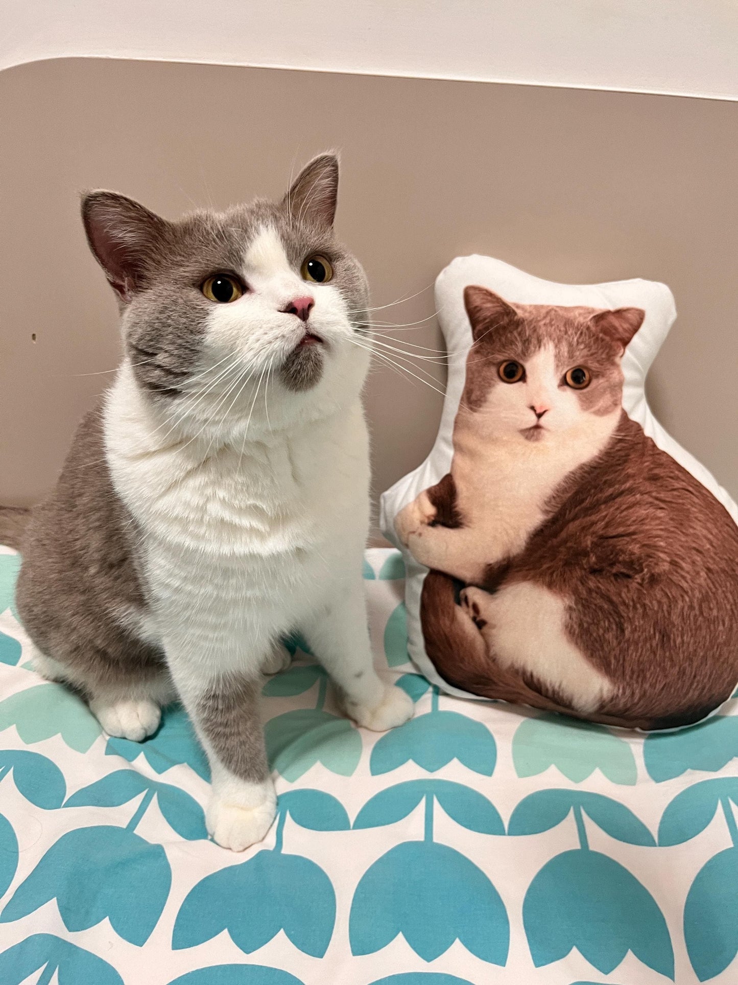 Personalized 3D cat dog portrait pillows