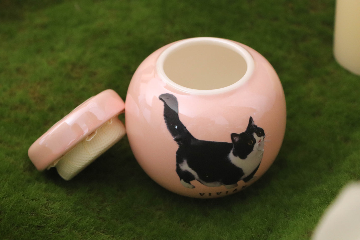 Personalized Pet Urn with Photo