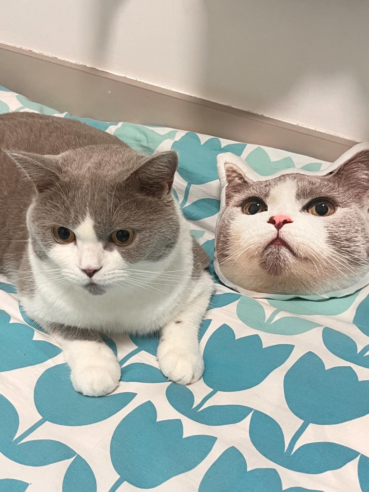 Personalized 3D cat dog portrait pillows