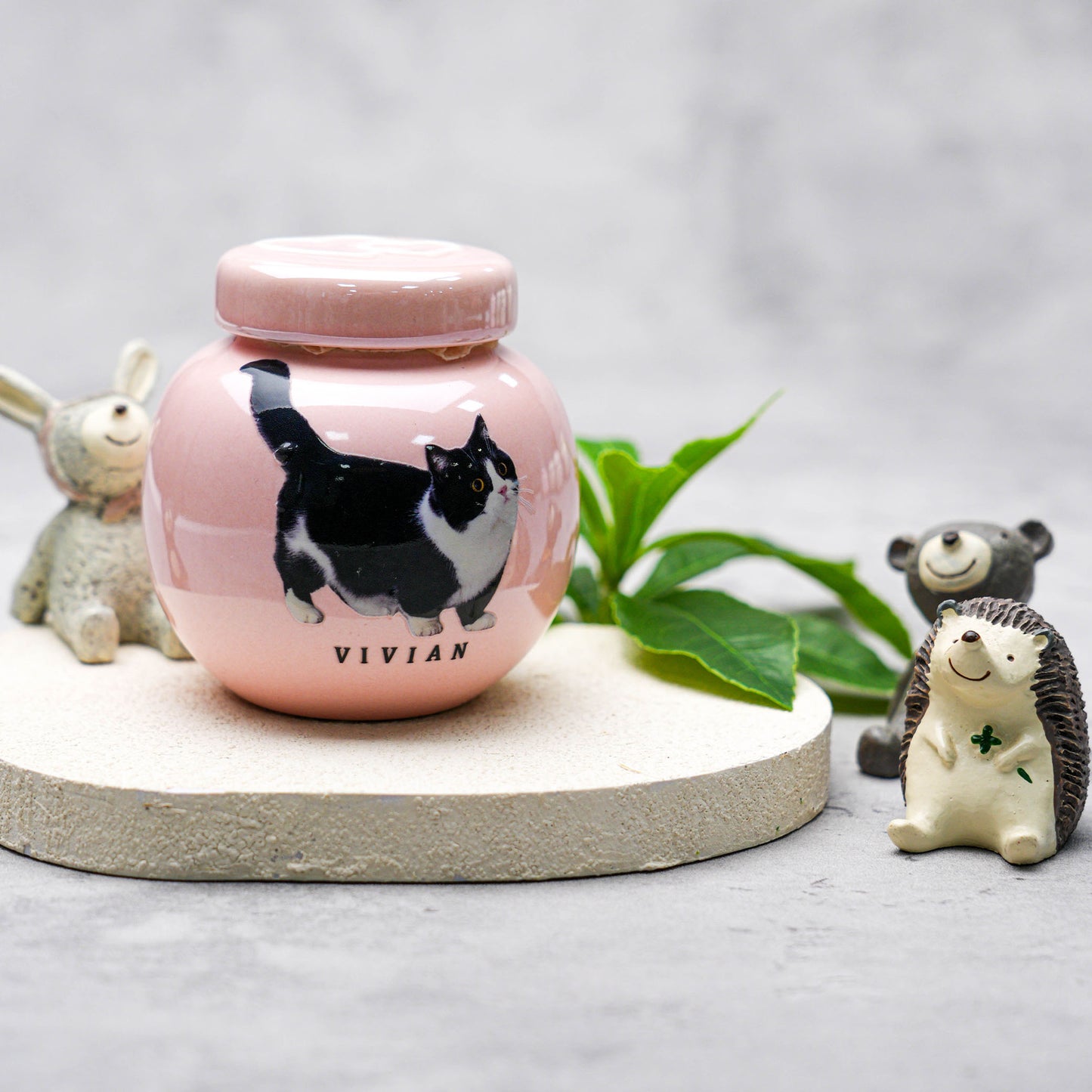 Personalized Pet Urn with Photo