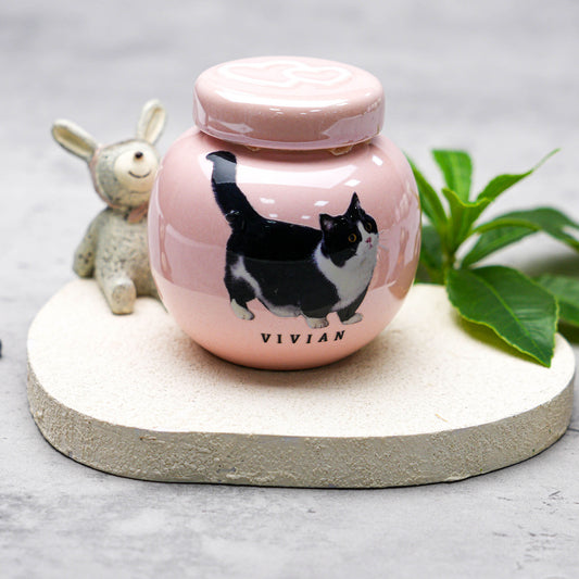 Personalized Pet Urn with Photo