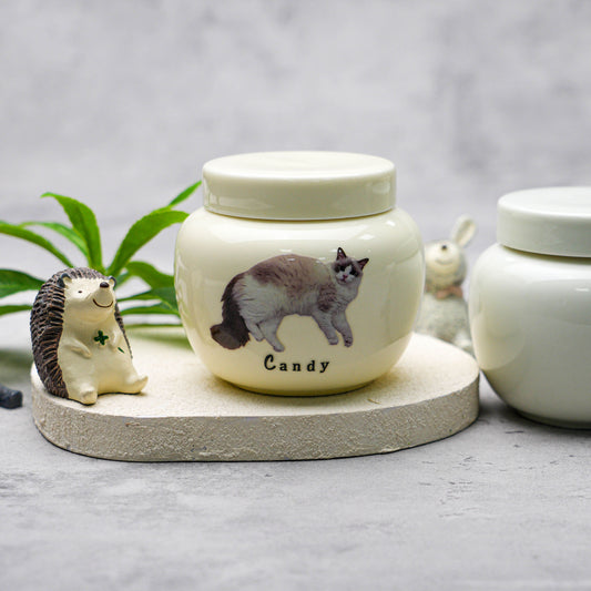Pet Photo Urns with Name Engraving Screw-Top