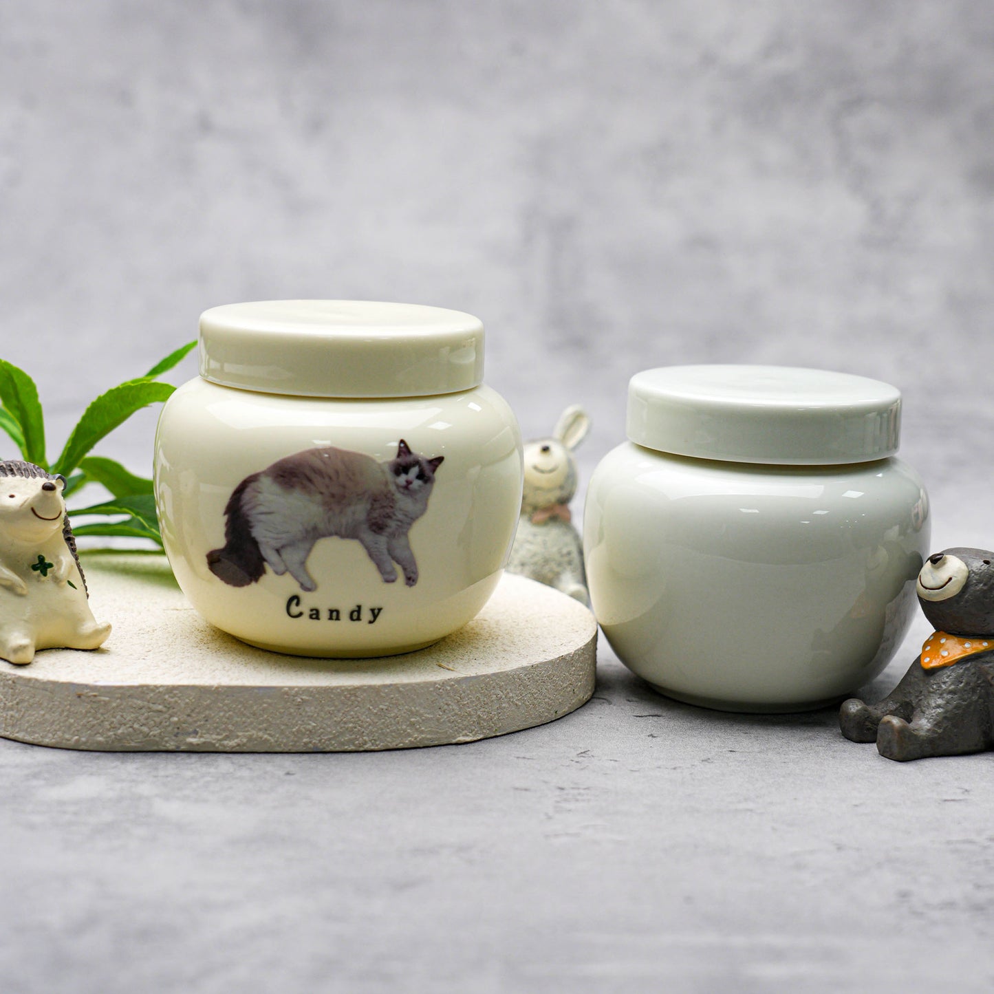 Pet Photo Urns with Name Engraving Screw-Top