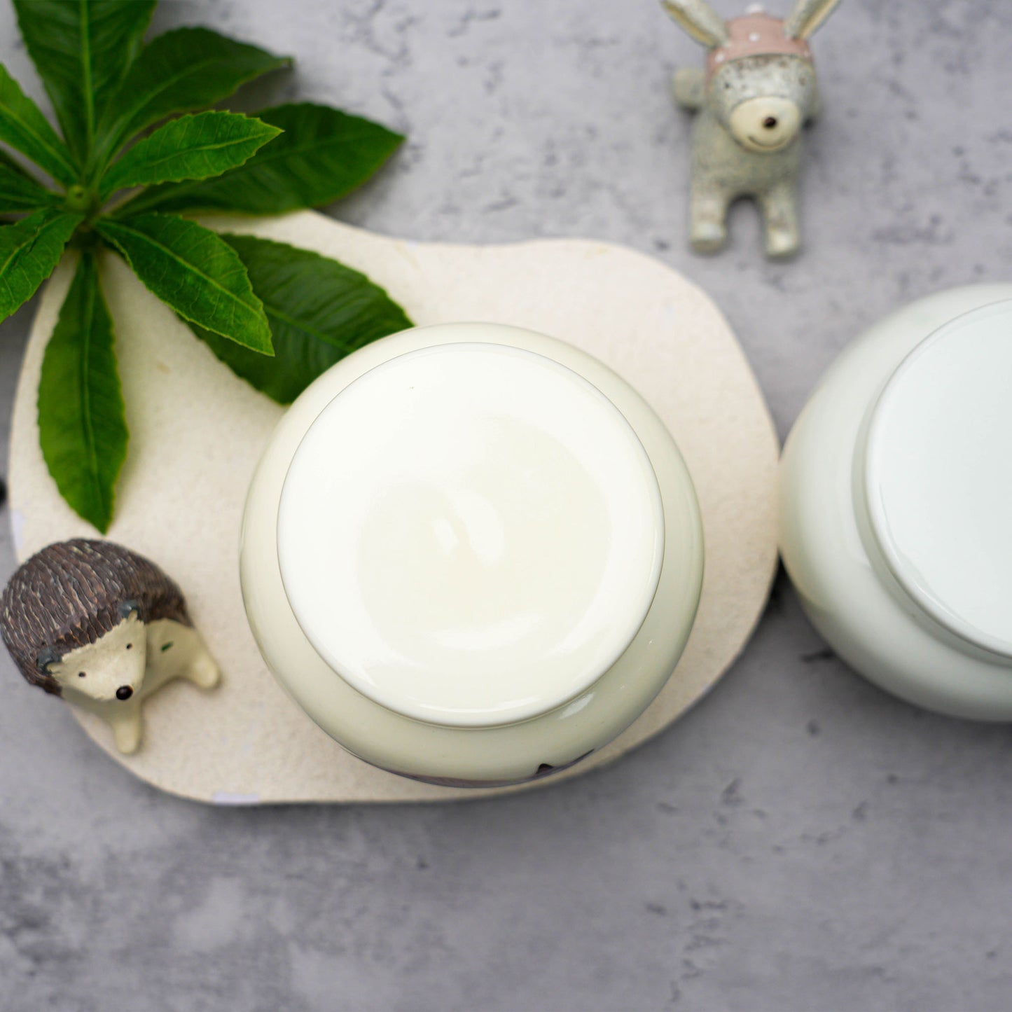 Pet Photo Urns with Name Engraving Screw-Top