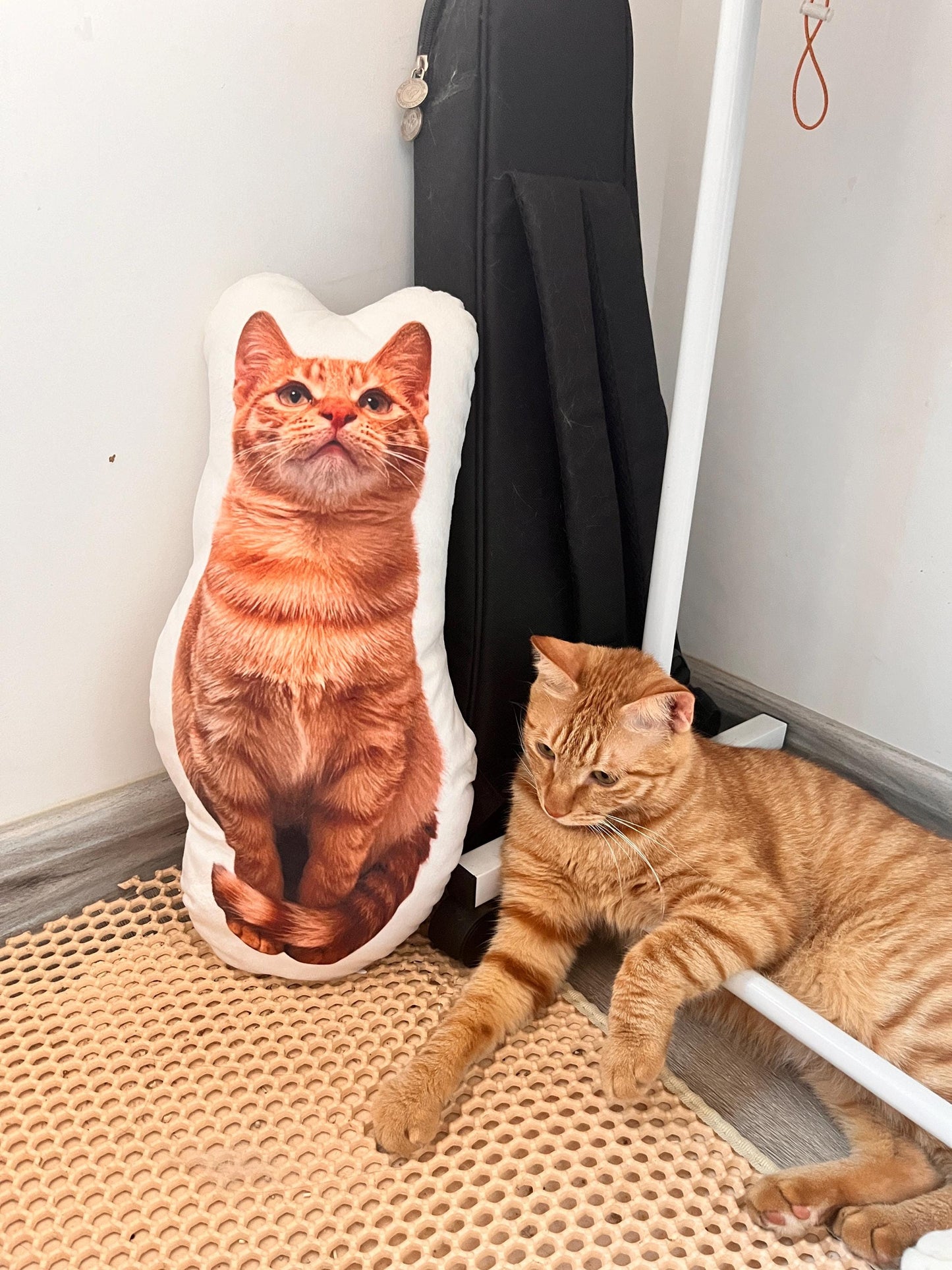 Personalized 3D cat dog portrait pillows