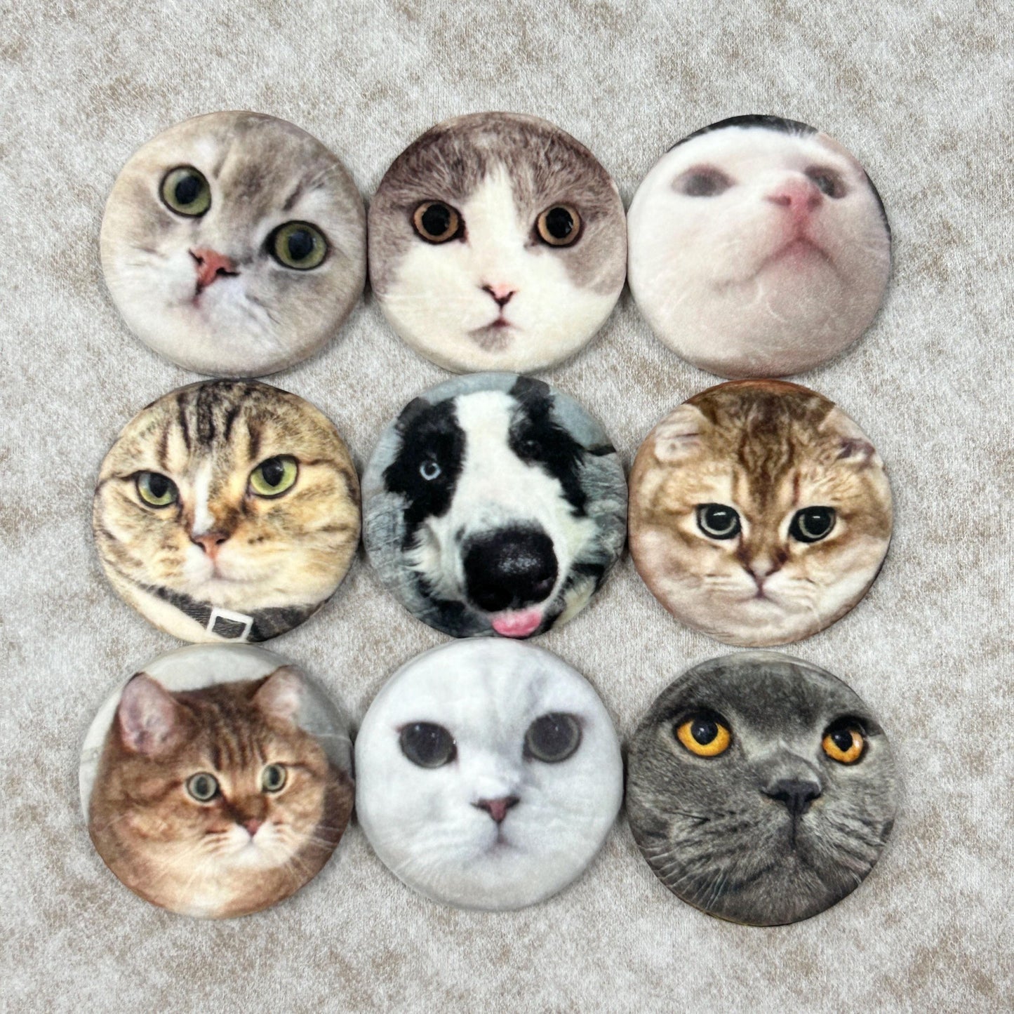Custom Pet Portrait Plush Pin