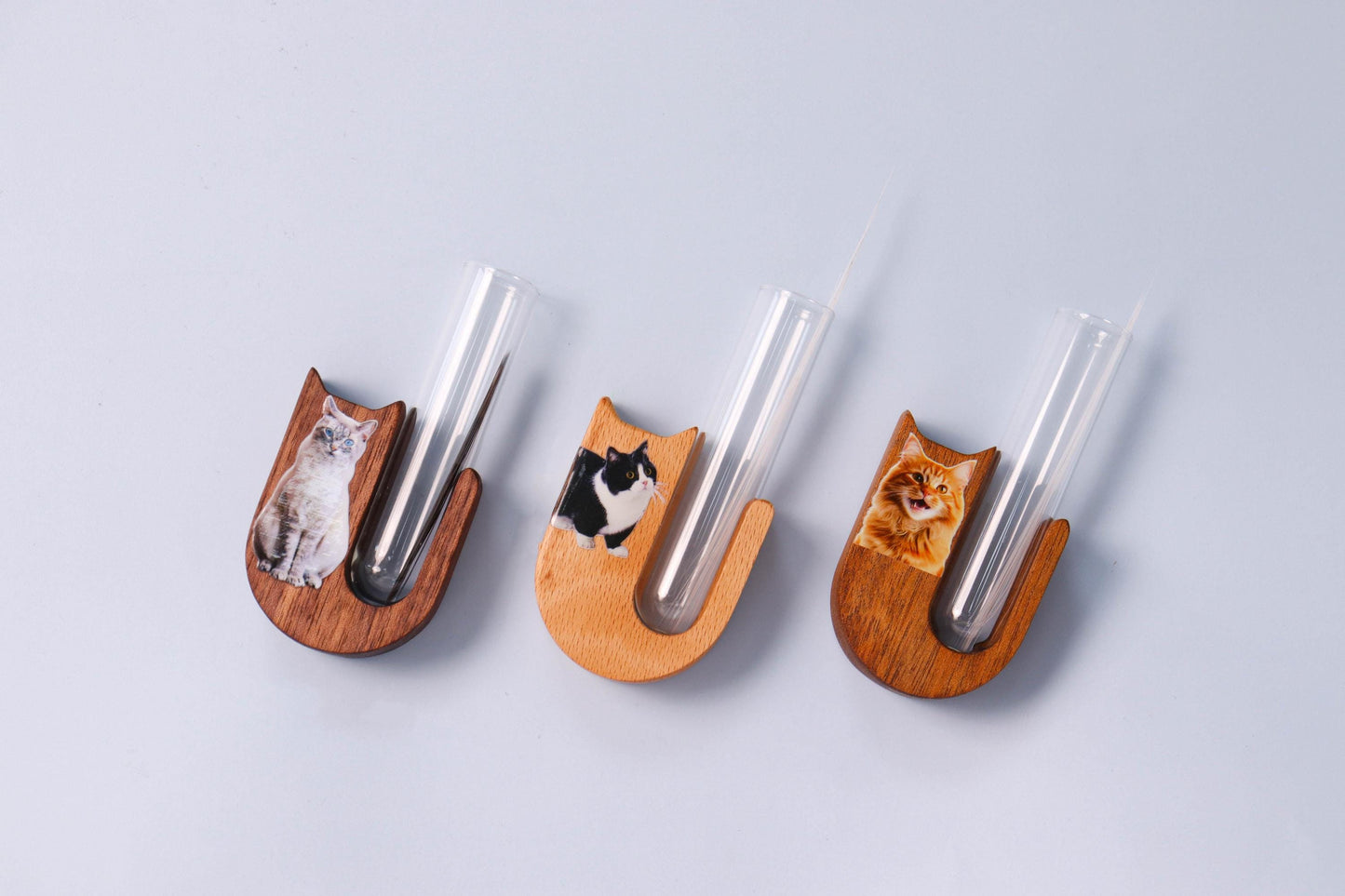 Cat Whisker Keepsake Holder with Photo