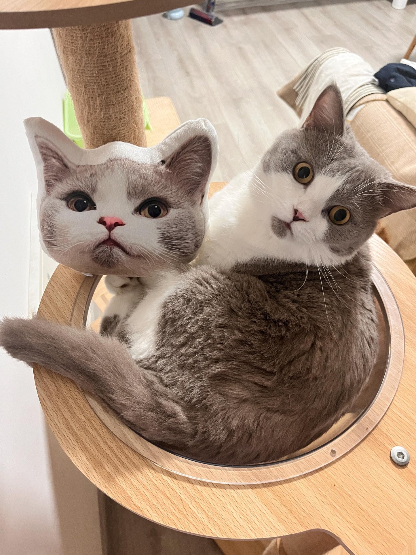 Personalized 3D cat dog portrait pillows