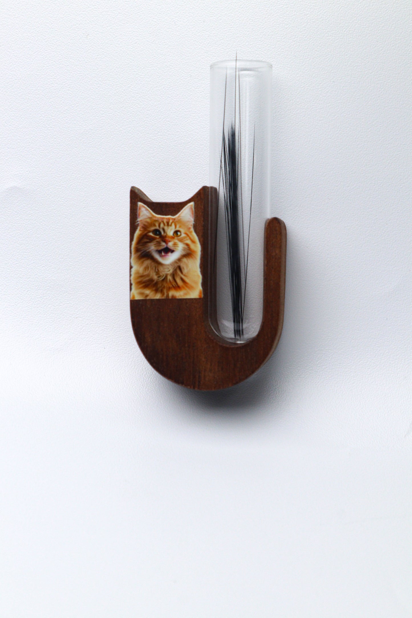 Cat Whisker Keepsake Holder with Photo