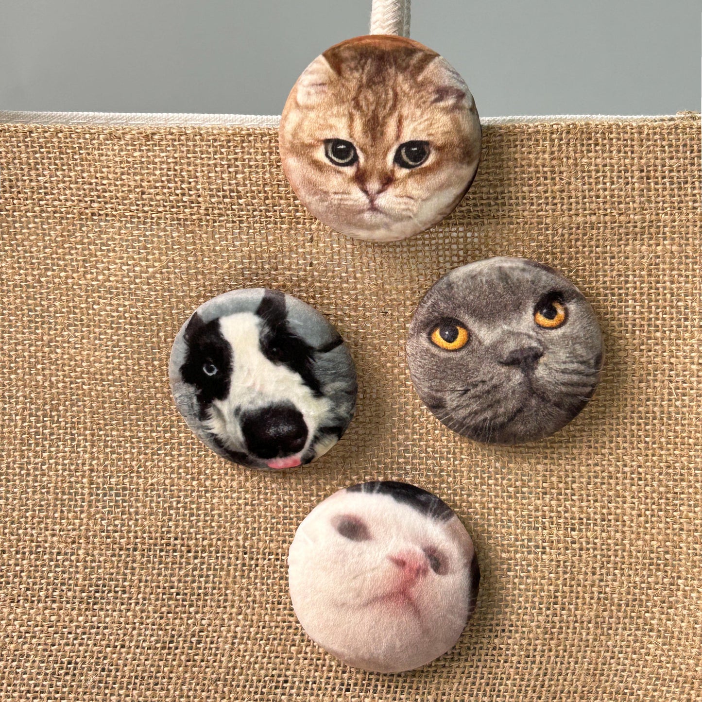 Custom Pet Portrait Plush Pin